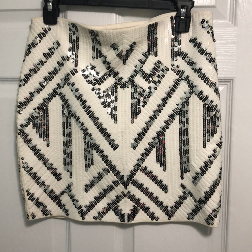 Express skirt
